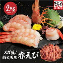 メガ盛 ★特大天然赤えび たっぷり2kg 約50〜60尾入り (大型サイズ) 赤海老 赤エビ お刺身 焼き 手巻き寿司 海鮮丼 寿…