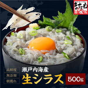 ˓CY 炷 500g (100g×5pbN) VX 炷 VX ˓C g Y F Mtg v[g CN ܂