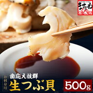 ※ 500gに規格変更 ※【お刺身用】大粒生つぶ貝 500g (ロシア オホーツク海産)送料無料(つぶかい/つぶが…