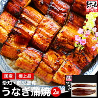 御中元 ギフト プレゼント 国産特大うなぎ蒲焼き2尾セット 送料無料！国産うなぎ165g前後×2尾 [2-4人前 …