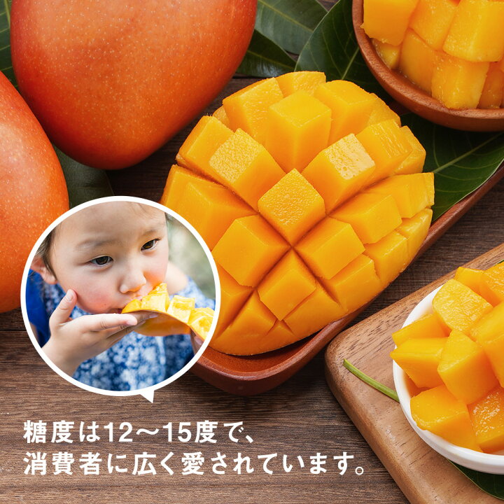 台湾産伊勢海老アップルマンゴー約5kg（9-14個入）