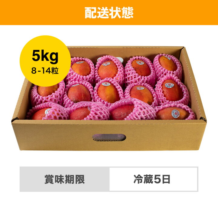 台湾産伊勢海老アップルマンゴー約5kg（9-14個入）