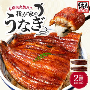 Mtgɂ _3480~`^傤ȂĂ200g×2 /4lOIVq ӂ {iY  ϔ (200g×2/220g×2) Y 8iĂdグ Ȃ  Ȃ2  hV̓ 