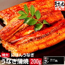 ＼特大200gは今だけ！値上げ前に／衝撃最安級★2840円送料無料！更に2尾で1,000円OFF！3尾で1,800円OFF！4尾で2,800円OFF！5尾で4,000円OFFクーポン有り！2尾で化粧箱付き！特大にほんうなぎ蒲焼き【タレ・山椒付き】[台湾産]［ウナギ/鰻]父の日 ギフトプレゼント土用丑の日