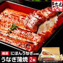 母の日 父の日 ギフト！最安挑戦★特大うなぎ200g×2尾！食べやすい肉厚100gカット×4切も選べる！3990円送料無料！2個で500円OFFクーポン有！[特...