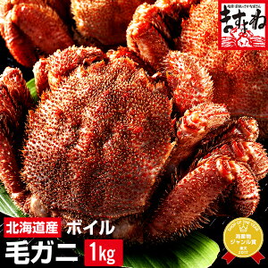 _Vʌׁ^ [kCY/䥂ŖъITCY500gO×2Civ1kgj]({C)[/Jj/I/т/уKj//PKj/][CY//C̍K/ ʔ/Jj ʔ]Ε Ε Mtg 