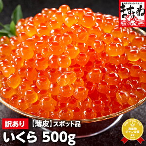 yʌ/X|bgׁzkCYݖЂ500g[][/CN/CN/炵/Ε/Ε/N] Jj≮܂ v[g