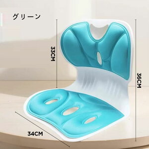 座布団 姿勢矯正 骨盤サポート チェア 骨盤から腰をサポート 腰クッション 腰枕 ランバーサポート 背もたれクッション 人間工学 腰が快適 座椅子として使用可能 軽量 持運び簡単 オフィス