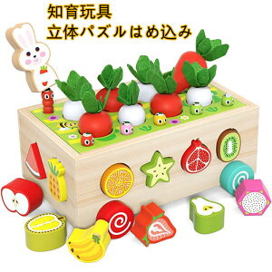 ߋ `킹ؐ ʕ̔Fm `͂ߍ _卪 ΒQ[ j ̎q ̎q J wP a NX}X v[g j