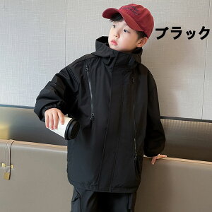 LbY WPbg h  킢 j̎q ̎q AEghA Lv WPbg Ro AE^[ WPbg t H h U s w 120 130 140 150 160 170 o