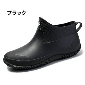 CV[Y Y fB[X ꂢ񂵂[ JC V[g y Sh ~J΍ 䕗 ʋ ʊw ނ  ₷ L _ K[fjO fB[XC hC
