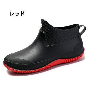 CV[Y Y fB[X ꂢ񂵂[ JC V[g y Sh ~J΍ 䕗 ʋ ʊw ނ  ₷ L _ K[fjO fB[XC hC