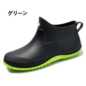 CV[Y Y fB[X ꂢ񂵂[ JC V[g y Sh ~J΍ 䕗 ʋ ʊw ނ  ₷ L _ K[fjO fB[XC hC