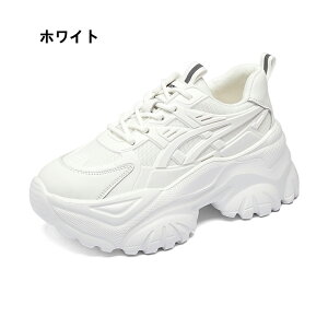 y fB[X Xj[J[ V[Y lC C CCh~ jOV[Y EH[LOV[Y fB[XV[Y g[jOV[Y  ʋ ^C