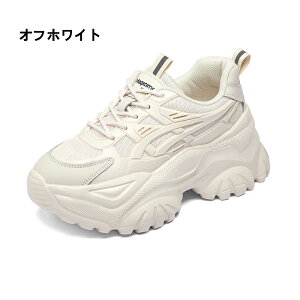 y fB[X Xj[J[ V[Y lC C CCh~ jOV[Y EH[LOV[Y fB[XV[Y g[jOV[Y  ʋ ^C