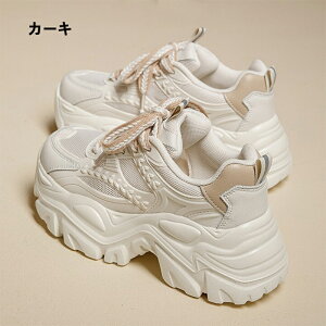 y fB[X Xj[J[ V[Y lC C CCh~ jOV[Y EH[LOV[Y fB[XV[Y g[jOV[Y  ʋ ^C