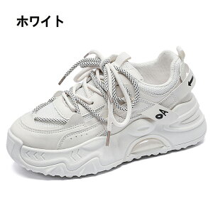 fB[X Xj[J[ Xj[J[ r h\[ _bhXj[J[ ʋC ؍ JWA ₷ Xj[J[ V[Y C