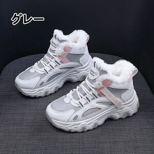 Xm[u[c fB[X ~ h hu[c {A Xm[V[Y C V[gu[c AEghA fB[X u[c  [Nu[c r ~C