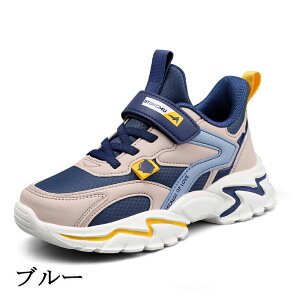 LbYV[Y ^C ʊwC qC LbY WjA Xj[J[ ʊw jOV[Y qǂ ̎q j̎q WjA y RۖhL ₷ ^ ʊw nCLO v[