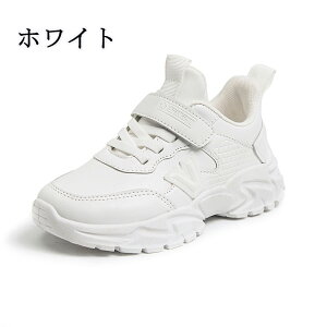 LbYV[Y ^C ʊwC qC C LbY WjA Xj[J[ ʊw jOV[Y qǂ ̎q j̎q WjA y RۖhL ₷ ^ ʊw nCLO v