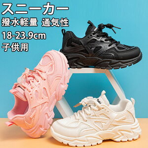 LbYV[Y ^C ʊwC qC C LbY WjA Xj[J[ ʊw jOV[Y qǂ ̎q j̎q WjA y RۖhL ₷ ^ ʊw nCLO v