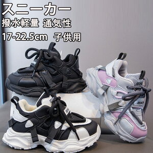 LbYV[Y ^C ʊwC qC C LbY WjA Xj[J[ ʊw jOV[Y qǂ ̎q j̎q WjA y RۖhL ₷ ^ ʊw nCLO v