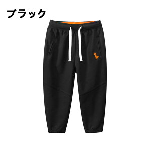 q XEFbgpc LbY 100 XEFbg Opc pc Y{ q WjA j̎q ̎q jp [EFA  ۈ牀 ct Xgb`f {gX 90-140cm 