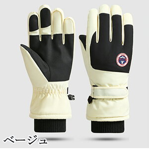 撅50l1300~N[|1790~XL[ O[u hO[u fB[X Y l XL[ Xm[{[h Xm{ O[u ~g  ܖ{woR oCN ] ~ h h