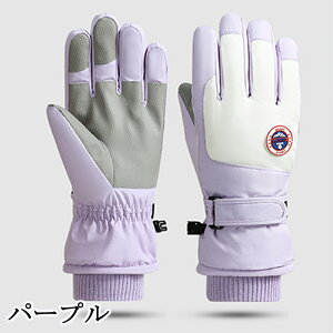 撅50l1300~N[|1790~XL[ O[u hO[u fB[X Y l XL[ Xm[{[h Xm{ O[u ~g  ܖ{woR oCN ] ~ h h