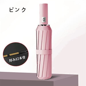 P SՌ ܂肽ݎP UV΍  y P fB[X 12{ UPF50+ OJbg Jp ܂ JP o^C Mtg