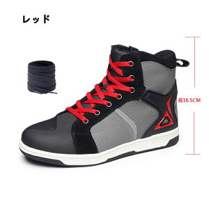 CfBOV[Y oCNV[Y nCJbg oCNu[c CfBOXj[J[ oCNpXj[J[ JWA I[goCC [VOu[c c[O SC ϖՐ ʋC