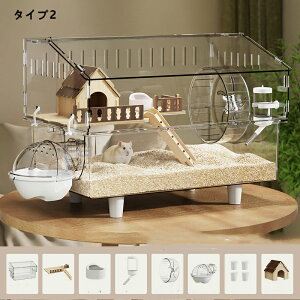 LN}nX^[ P[W  ^ LN}^S[f^WKAnX^[ ANP[W NA 45CM OJ ㉺  3`8CΉ g\ Eh~  ঒