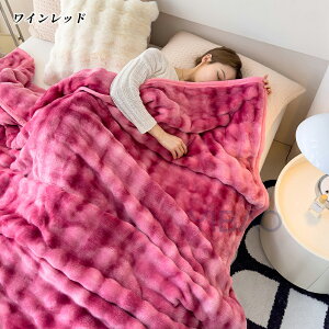 ふわとろ毛布 シングル 冬用 モコモコ もこもこ毛布 2枚合わせ もうふ おしゃれ マイクロファイバー フランネル 柔らかく肌触 ふわふわ ふわとろ ラグジュアリー ひざ掛け 暖かい 静電気防