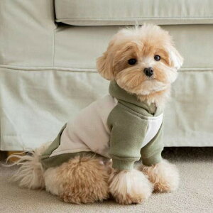 ! H~V lC t[fB[ ݃J[ Jbg\[  ^ ybgEFA U p[J[ j̎q jZbNX O  Vv hbOEFA іh~ p 