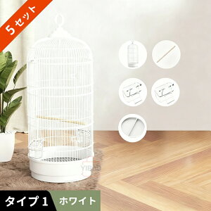 o[hP[W    34 s34 72cm P[W o[hpX ~܂  GT2 uR o[hubWt  ȒP CRP[W IEP[