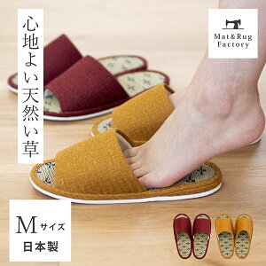 yő2000~OFFN[|z {Xbp MTCY Xbp [V[Y   ėp   {