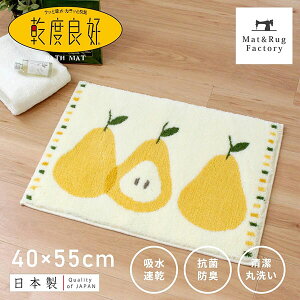 xǍD oX}bg J[40×55cm CG[oX }bg C C}bg z  oXpi ӂӂ  킢 k miV ʕ EBgD  IJ OKA {