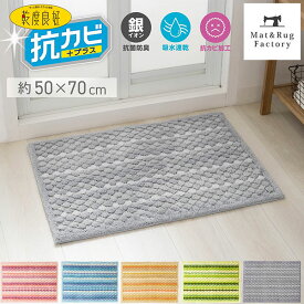 乾度良好 バスマット 抗カビプラス 約50×70cm バス マット お風呂 風呂マット 吸水 速乾 抗菌 防臭 抗カビ バス用品 乾度良好 オカ 洗える 浴室マット 足ふきマット 快適 ふわふわ サラサラ シンプル おしゃれ 北欧 かわいい 玄関マット タオル地