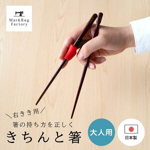   Ɣ lp E 21cm {  l Ƃ ͂ E E jp ͂  j ዷh Y  H  ^ g g[jO K ̎ 