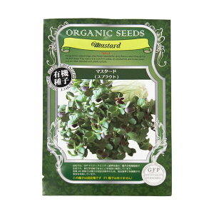 yP11{ 11%OFFN[|1z L@q XvEg I[KjbN q ͔| ubR[ oW pN`[ Ђ܂ wV[~bNX }X^[h ԃLxc ԃfBbV 