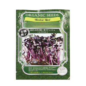 y20%OFFN[|2020-23:59z L@q XvEg I[KjbN q ͔| ubR[ oW pN`[ Ђ܂ wV[~bNX }X^[h ԃLxc ԃfBbV 