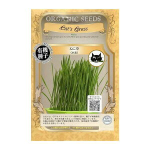 y50%OFFN[|VK50420`z L@q XvEg I[KjbN q ͔| ubR[ oW pN`[ Ђ܂ wV[~bNX }X^[h ԃLxc ԃfBbV