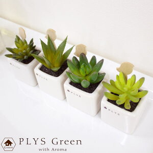 y50%OFFN[|VK50420`z PLYS greenivXO[j vXO[ A}fBt[U[ tFCNO[  A