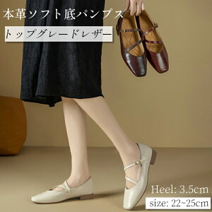 vC C pvX tbgq[ ؂ XNGAgD {v r gbvO[hV[vXL V[vXL ɂȂ _炩 ₷  y fB[X [q[ 3.5cm JW