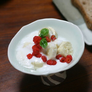 ԓyt[caH | Z   蔫 蔫 唫 ߂ T_ J[ pX^  j v[g fG    킢 _ a 