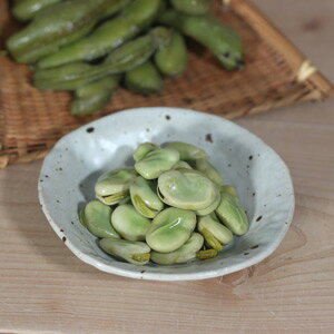 _MaH | Z M M M M M T_ J[ pX^  j v[g fG    킢 _ a j