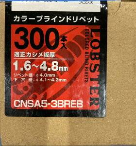 ZuebNX CNSA5-3BREB J[xbguY(300)