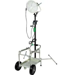 yԒ|Cg2{ȏI 11/1`10zH TL-LED300AB-EG LEDfBXNo[d@pԕt