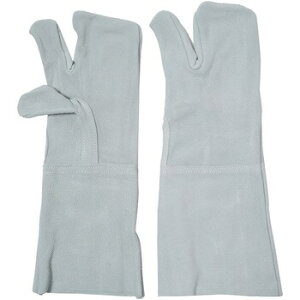 y|Cg5{I (12/15܂)ɃN[|zzIzMIMI SWS503 v n3{w SWS503@900277/