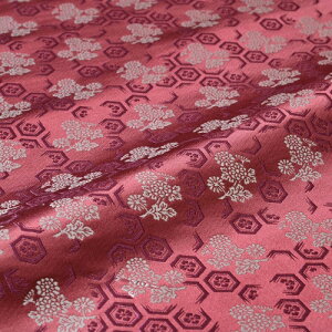 n zn | ͂ n TbԕH e܎} LEl  wD  VN 60cm Ejql` ߑ az an an 10cmP